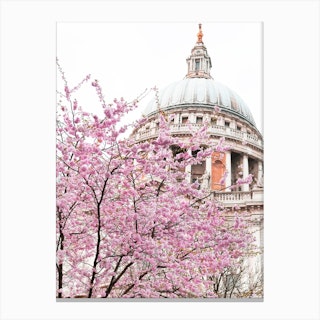 St Paul'S Spring Blossom Canvas Print