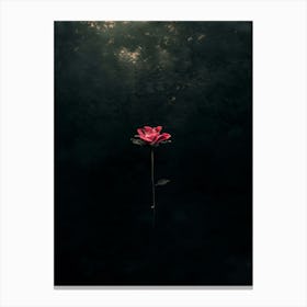 Rose In The Water Canvas Print