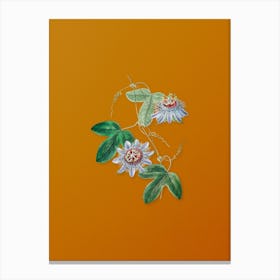 Vintage Sullivan's Passion Flower Botanical on Sunset Orange n.0544 Canvas Print