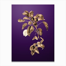 Gold Botanical Musky Pear on Royal Purple Canvas Print
