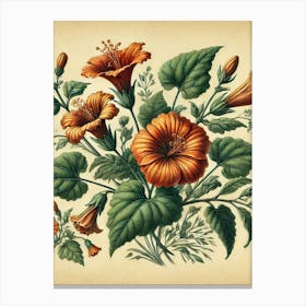 Orange Hibiscus Canvas Print