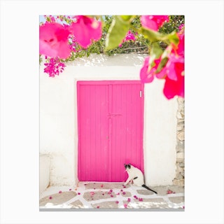 Greece Cat With Pink Flowers Canvas Print