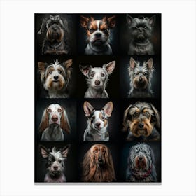 12 dogs Canvas Print