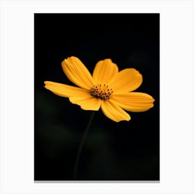 Yellow Flower 3 Canvas Print