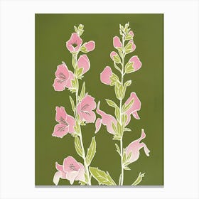 Pink & Green Aconitum 2 Canvas Print
