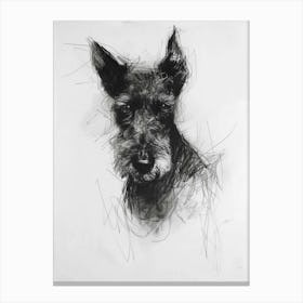  Lakeland Terrier Dog Charcoal Line 3 Canvas Print