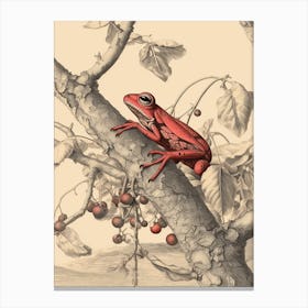 Red Tree Frog Vintage Botanical 5 Canvas Print