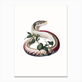 Queen Snake 1 Vintage Canvas Print