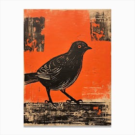 Pigeon, Woodblock Animal Drawing 4 Canvas Print