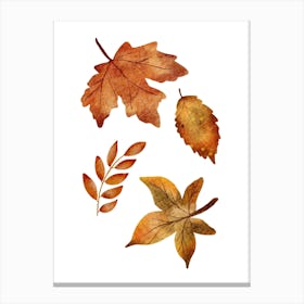 Autumn Leaves Watercolor Painting Canvas Print