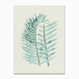 Palm Leaf 1 Canvas Print