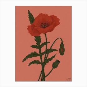 Flower Poppy Canvas Print