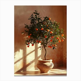 Orange Tree 9 Canvas Print