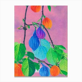 Physalis Risograph Retro Poster Fruit Canvas Print