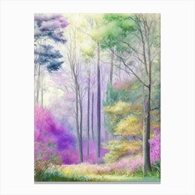 Bernheim Arboretum And Research Forest, Usa Pastel Watercolour Canvas Print