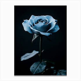 Blue Rose 2 Canvas Print