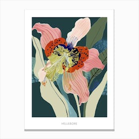 Colourful Flower Illustration Poster Hellebore 2 Canvas Print