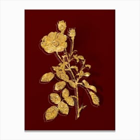 Vintage Sparkling Rose Botanical in Gold on Red n.0286 Canvas Print