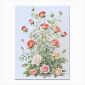 Watercolor Roses 4 Canvas Print