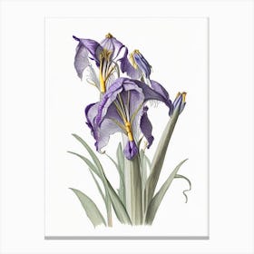 Iris Floral Quentin Blake Inspired Illustration 3 Flower Canvas Print