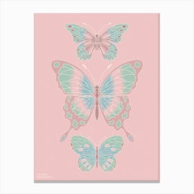 Butterflies Canvas Print