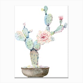 Cactus Flower Canvas Print