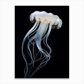 Irukandji Jellyfish Simple Illustration 4 Canvas Print