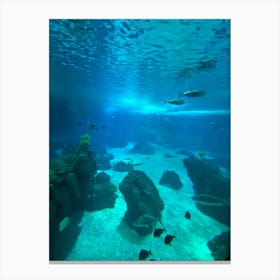 Aquarium With Fishes Canvas Print