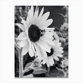 Bee Sunflower 6 Canvas Print