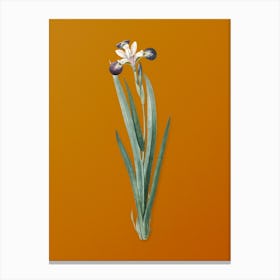 Vintage Harlequin Blueflag Botanical on Sunset Orange n.0928 Canvas Print