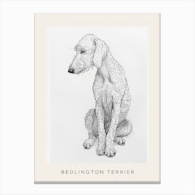 Bedlington Terrier Dog Line Sketch 2 Poster Canvas Print
