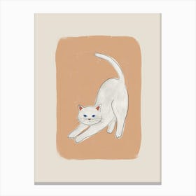 White Cat Canvas Print