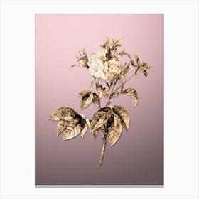 Gold Botanical Pink Agatha Rose on Rose Quartz Canvas Print