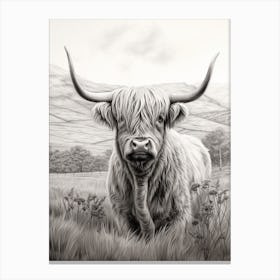 Black & White Illustration Of A Highland Cow Canvas Print