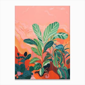 Boho Plant Painting Calathea 2 Canvas Print