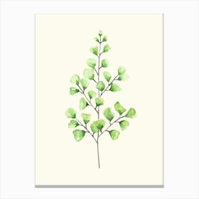 Eucalyptus 3 Canvas Print