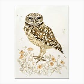 Burrowing Owl Marker Drawing 1 Canvas Print