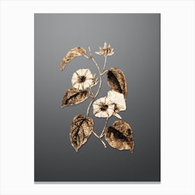 Gold Botanical Hoary Jacquemontia Flower on Soft Gray n.2243 Canvas Print