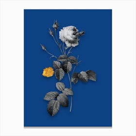 Vintage Provence Rose Black and White Gold Leaf Floral Art on Midnight Blue n.0531 Canvas Print