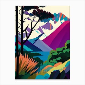 Tierra Del Fuego National Park Argentina Pop Matisse Canvas Print