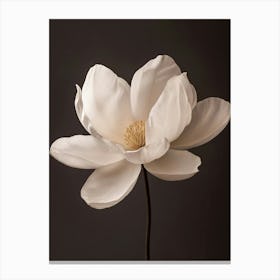 White Magnolia Flower Canvas Print