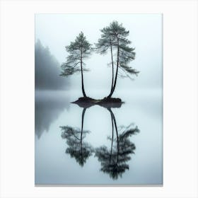 Two Trees In The Mist Canvas Print