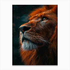 Lion face Canvas Print