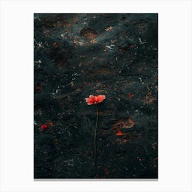 Single Red Flower 20 Canvas Print