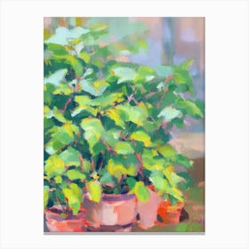 Chinese Evergreen 2 Impressionist Painting Plant Canvas Print