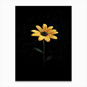 Single Yellow Flower 28 Canvas Print