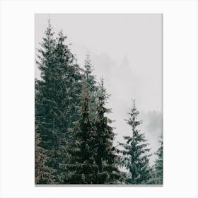 Pine Tree Forest Canvas Print