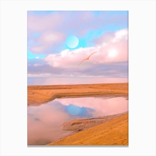 Moon Reflexion With Pink Seagull Canvas Print