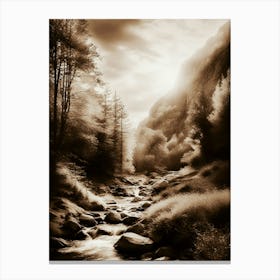 Sepia 11 Canvas Print