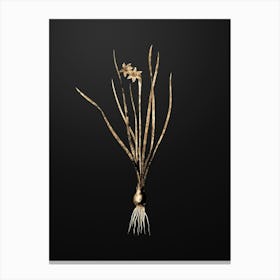 Gold Botanical Rush Leaf Jonquil on Wrought Iron Black n.0749 Canvas Print